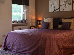 Tendance et dégradé de mauve 3