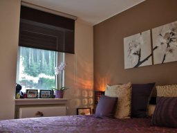 Tendance et dégradé de mauve 4