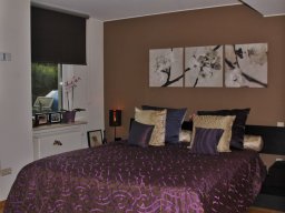 Tendance et dégradé de mauve 5